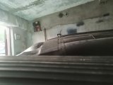 IMG_20230609_210117.jpg