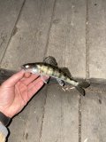 IMG_1514.jpeg