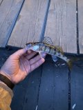 IMG_1513.jpeg