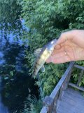 IMG_1512.jpeg