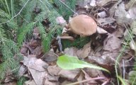20230615_160600.jpg