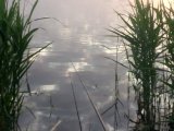 IMG_20230616_040650.jpg