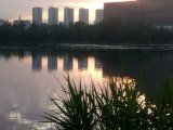 IMG_20230616_040638.jpg