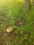 20230617_072854.jpg