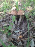 20230617_085908.jpg