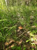 20230617_090401.jpg