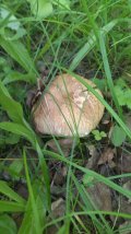 IMG-20230617-WA0101.jpg