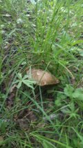 IMG-20230617-WA0098.jpg