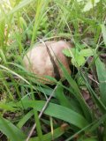 IMG-20230617-WA0081.jpg