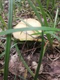 IMG-20230617-WA0071.jpg