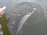 IMG_20230618_062421.jpg