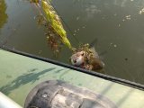 IMG_20230618_063400.jpg