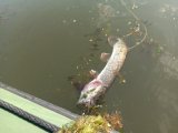 IMG_20230618_063355.jpg