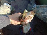 IMG_20230618_063449.jpg