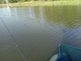 IMG_20230618_064313.jpg