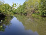 IMG_20230617_091352_1.jpg