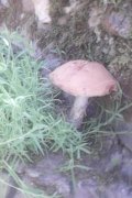 IMG_20230619_101552.jpg