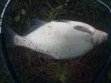 IMG_20230503_080805.jpg