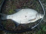 IMG_20230503_044425.jpg