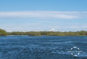 DSCF8353.jpg