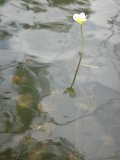099902.jpg