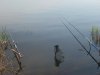 DSCN1323.jpg