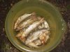 DSCN1388.jpg