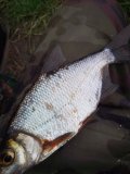 IMG_20230624_151357.jpg
