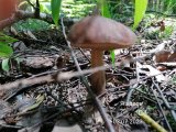 IMG_20230703_133555.jpg