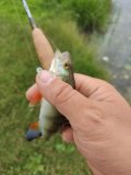 IMG20230708125521.jpg