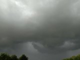 IMG_20230711_175626.jpg