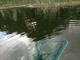 IMG_20230711_175617.jpg