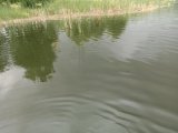 IMG_20230711_175622.jpg