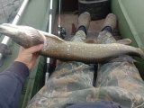 IMG_20230712_132809.jpg