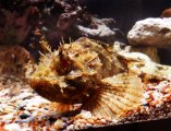 DSCF1311.JPG