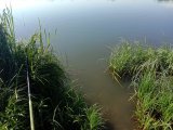 IMG_20230717_082636.jpg