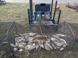IMG-20230724-WA0049.jpg