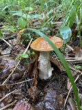IMG_3659.jpeg IMG_3659.jpeg