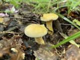 IMG_4808.jpeg