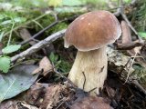 IMG_4829.jpeg