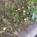 20230730_151318.jpg
