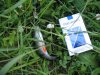 20070612-shekavtsevo-0011.jpeg