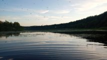 IMG_20230731_193201_009.jpg