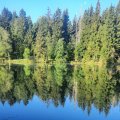 20230805_064721.jpg