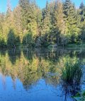 20230805_064725.jpg