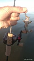 IMG_20230809_070917.jpg