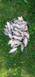 IMG_20230823_114329.jpg