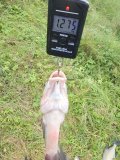 20230830_102507.jpg 20230830_102507.jpg