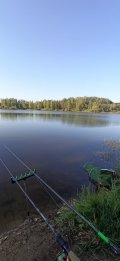 IMG_20230914_093630.jpg