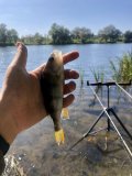 IMG_0950.jpeg